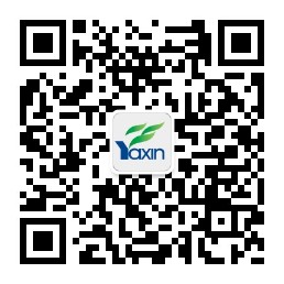 工匠精神,就是专注一件事情并做到极致